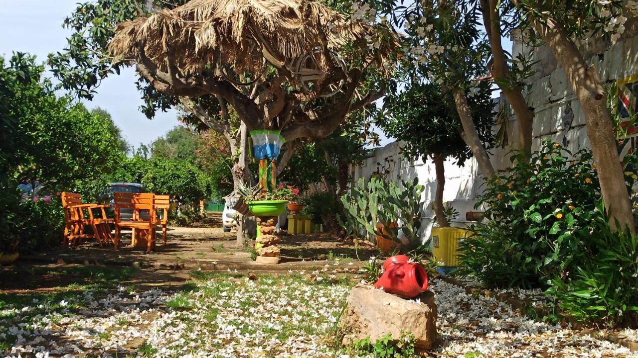 Villa Zagara Di Sicilia Marsala Exterior foto